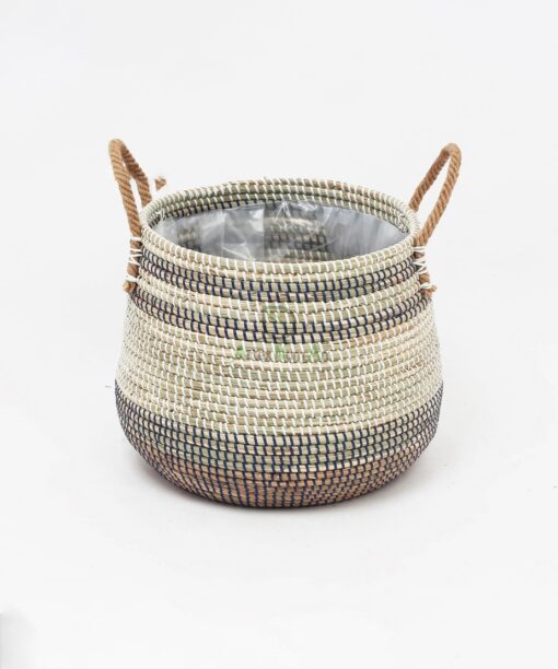 Mini Decorative Pot Plants