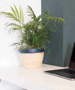 Scandinavian bamboo planter made in Vietnam S 02 16 025 01