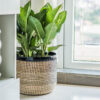 Seagrass Basket Weaved With Plastic String And Bamboo SGNB 09 16 004 01