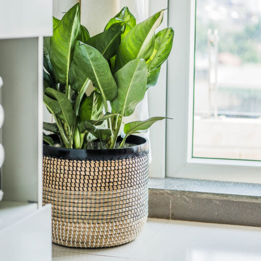 Seagrass Basket Weaved With Plastic String And Bamboo SGNB 09 16 004 01