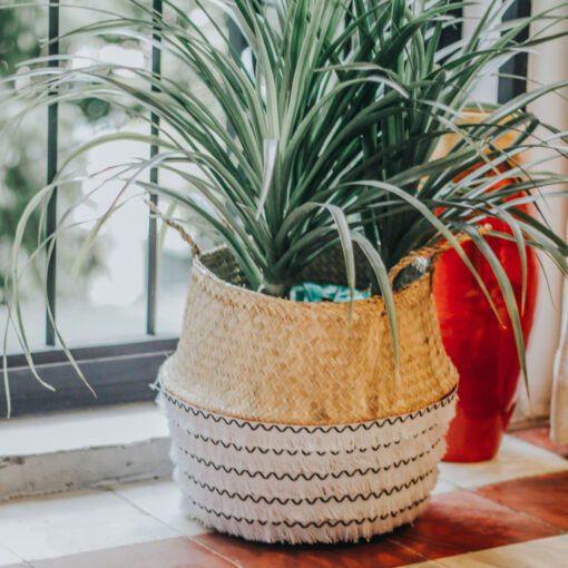 Top Seller Seagrass Belly Handmade Storage Basket SG 10 05 198 01