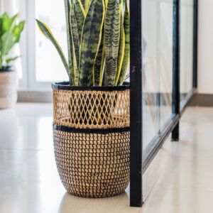 Wholesale Seagrass With Plastic String Basket Made In Vietnam SGNB 10 16 001 01