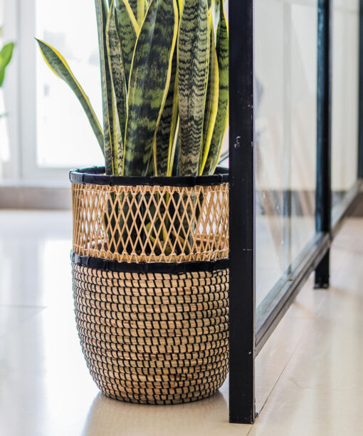 Wholesale Seagrass With Plastic String Basket Made In Vietnam SGNB 10 16 001 01