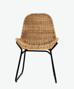 Rattan Chair With Strong Metal Stand R 53 15 004 01