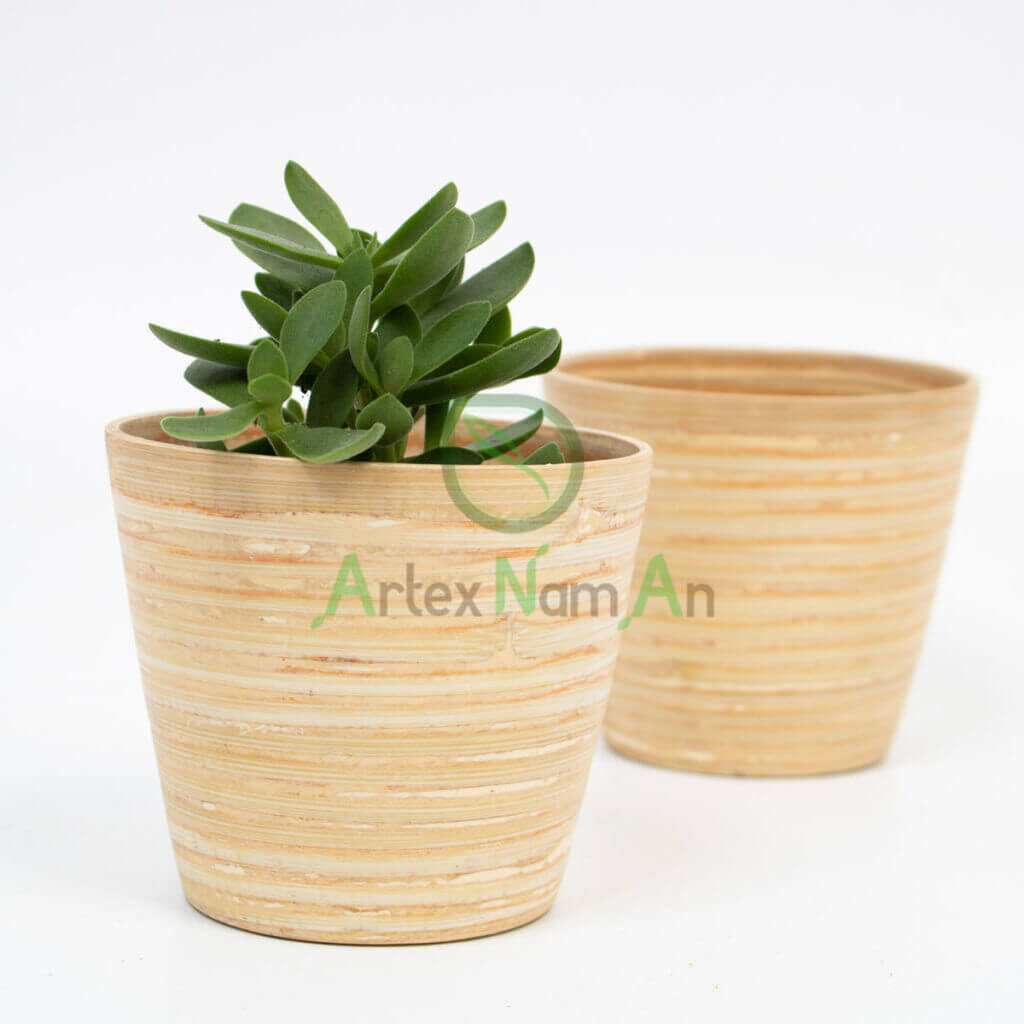 Artex Nam An