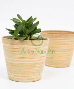 Round Bamboo Succulent And Cactus Indoor Planter Flower Pot S 15 16 068 01