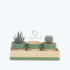 Eco friendly set 3 of mini bamboo planter pot also succulent pot made in Vietnam