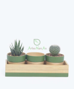 Eco friendly set 3 of mini bamboo planter pot also succulent pot made in Vietnam