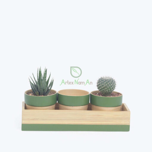 Eco friendly set 3 of mini bamboo planter pot also succulent pot made in Vietnam