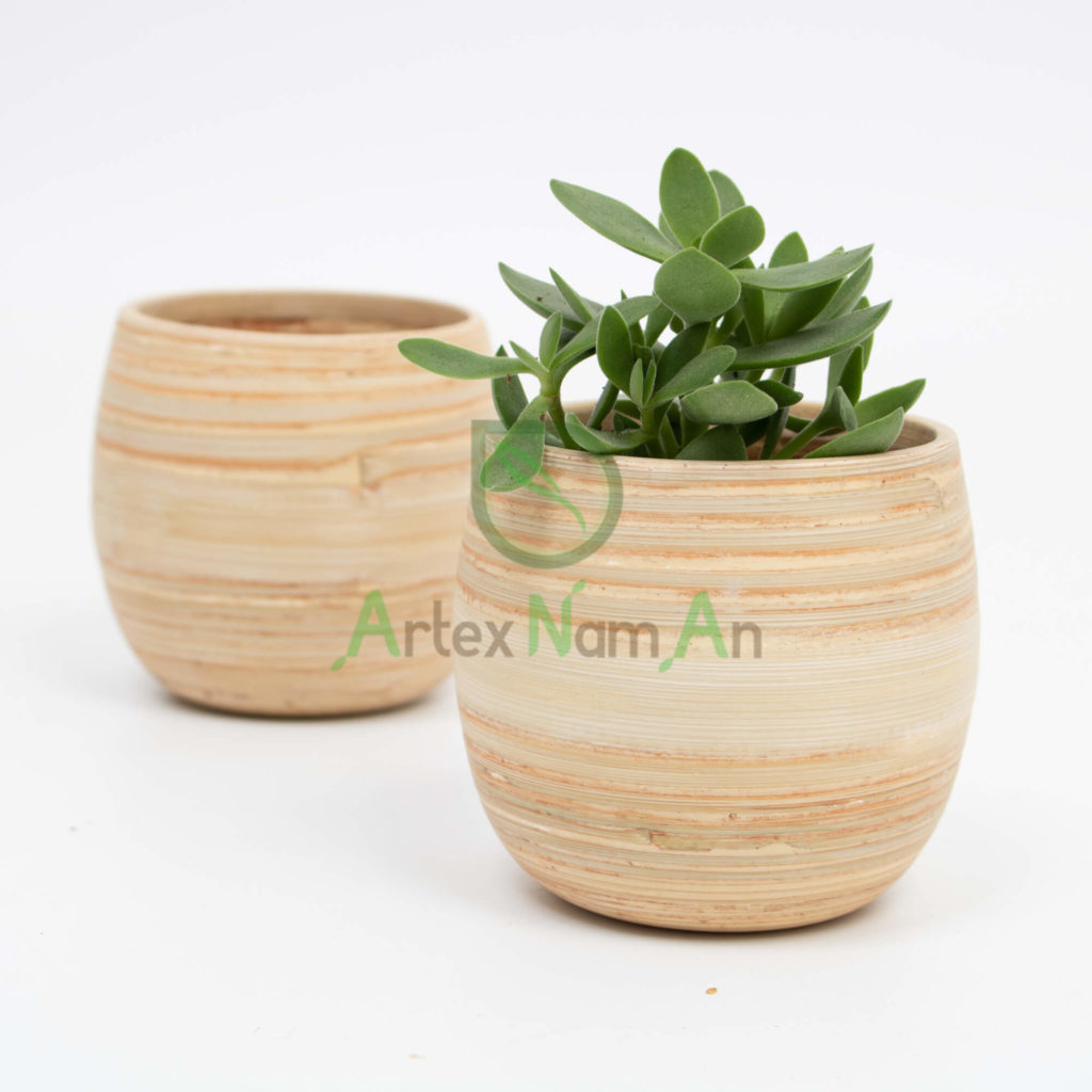 Artex Nam An