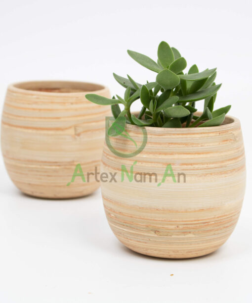 Bamboo Succulent Planter Pot Table Top Planter Pots