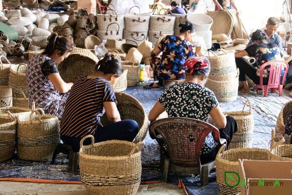 Vietnam has various manufacturers specializing in wholesale seagrass baskets.