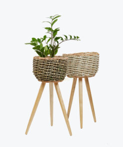 Seagrass planter with removable stands