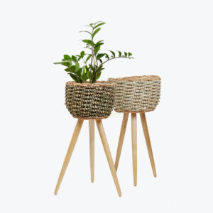 Seagrass planter with removable stands