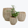 Seagrass Curved Planter Set SG0100002201