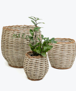 Seagrass Curved Planter Set SG0100002201