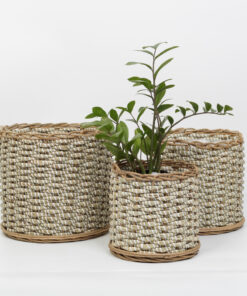 Seagrass planter