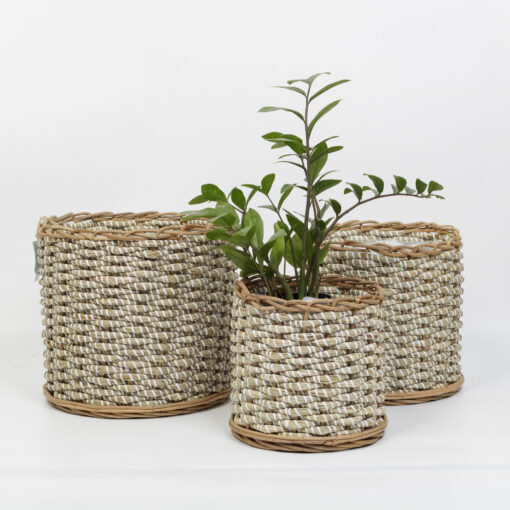 Seagrass planter
