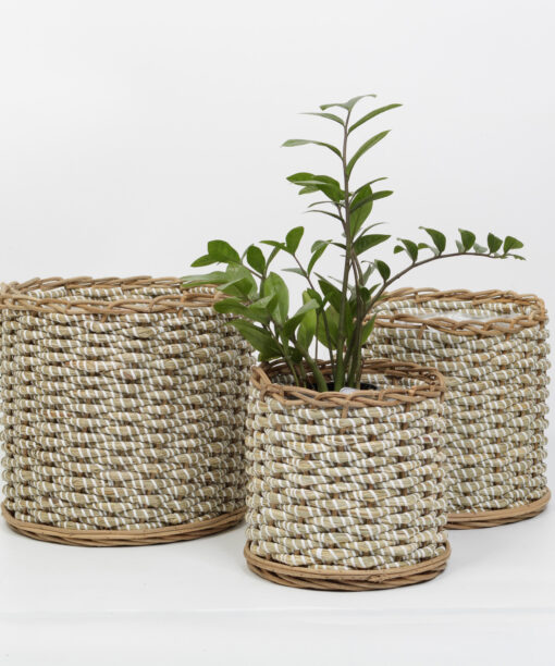 Seagrass planter