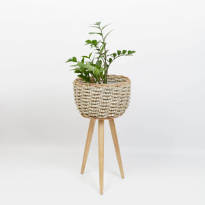 Seagrass planter with removable stands
