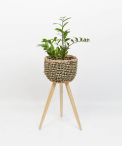 Seagrass planter with removable stands 6