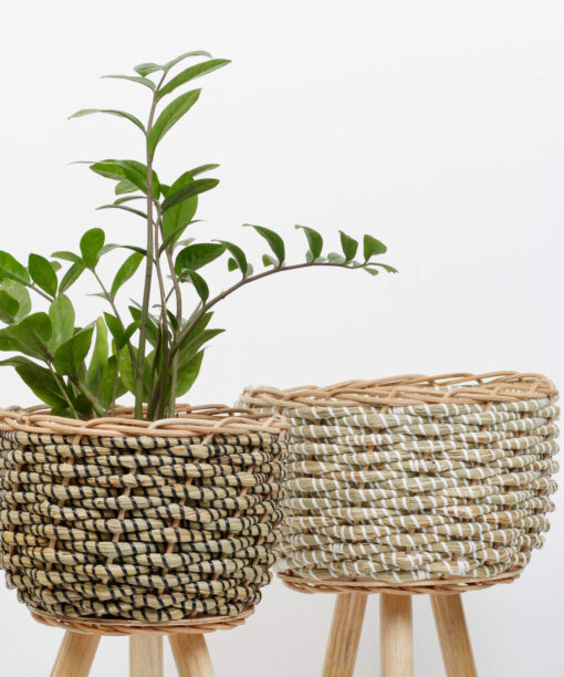 Seagrass planter with removable stands 7