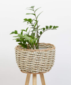 Seagrass planter with removable stands 8