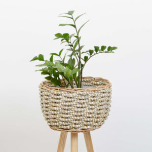 Seagrass planter with removable stands 8