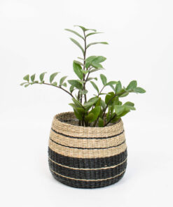 20cm-plant-pot-indoor-3