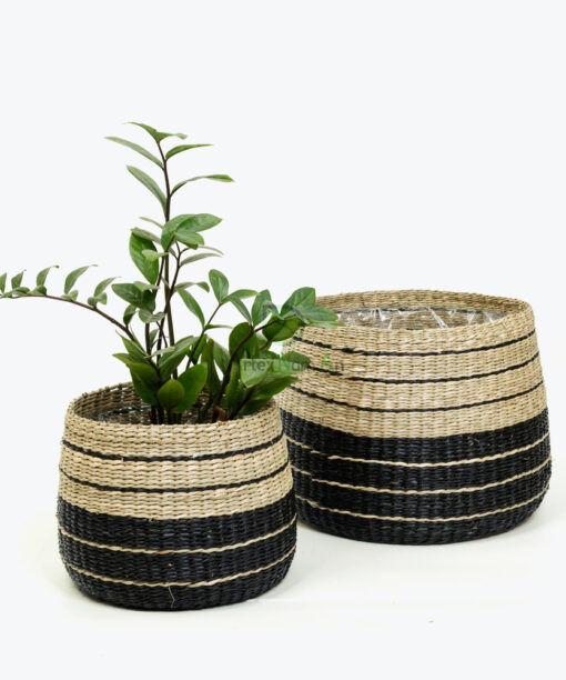 Shop Wholesale Natural Seagrass Plant Basket Flower basket with nylon liner for indoor garden, home, office and HORECA décor. Ideal for plant and flower pots. We welcome bulk orders, OEM/ODM collaborations, and private label projects for retailers, wholesalers, sourcing agents, and HORECA buyers.