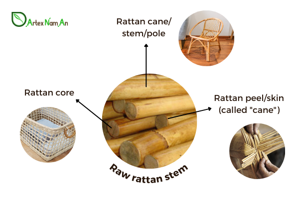 Rattan vs wicker: Rattan is a natural material with many applications in homewares