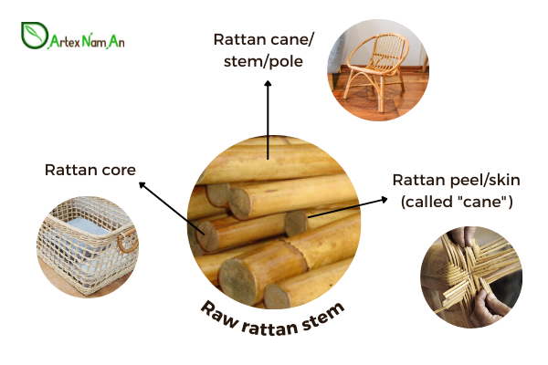 rattan wicker and cane