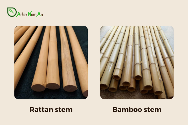 rattan and cane difference