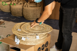 Seagrass for producing handicrafts - Artex Nam An
