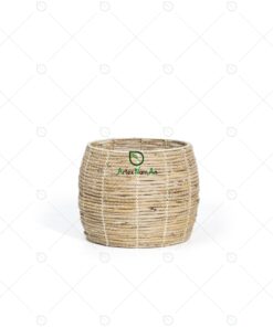 Banana Curved Plant Pot