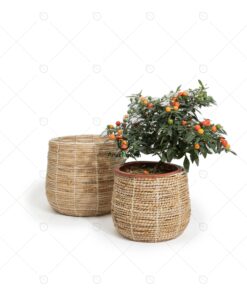 Banana Floor Planter