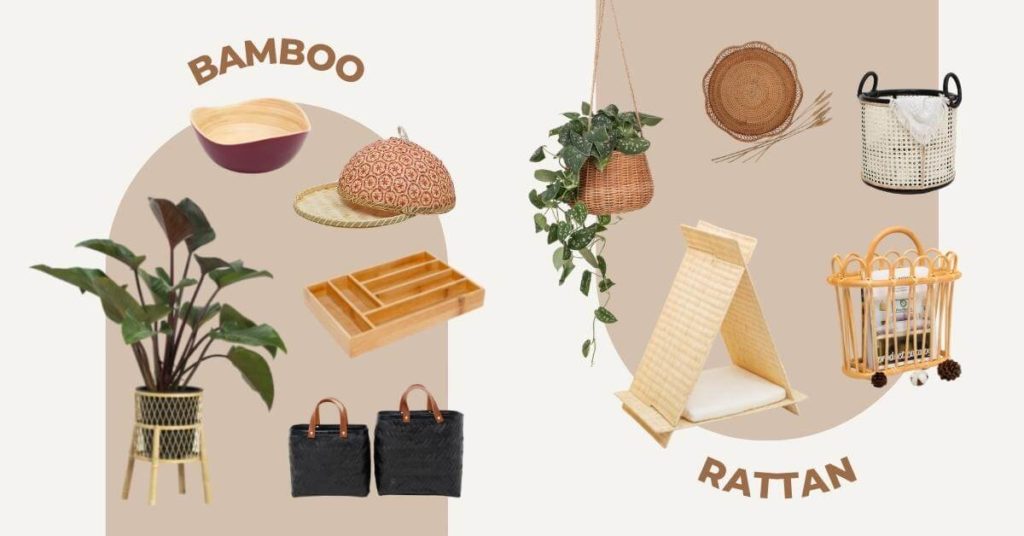 Cane vs Bamboo