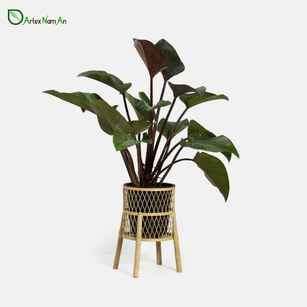 Rattan cane vs bamboo  - Wholesale woven bamboo plant pots indoor