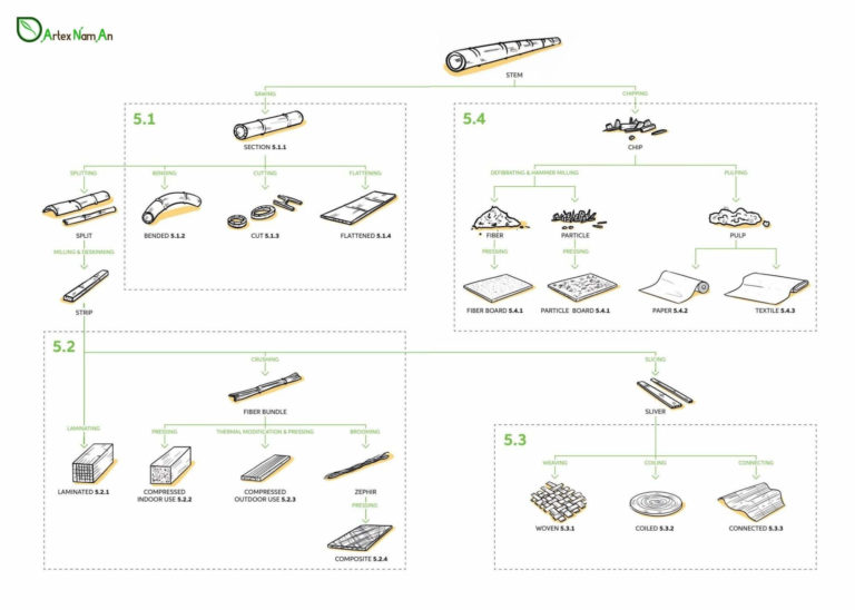 Top Differences Between Cane Vs Bamboo In Home Industry