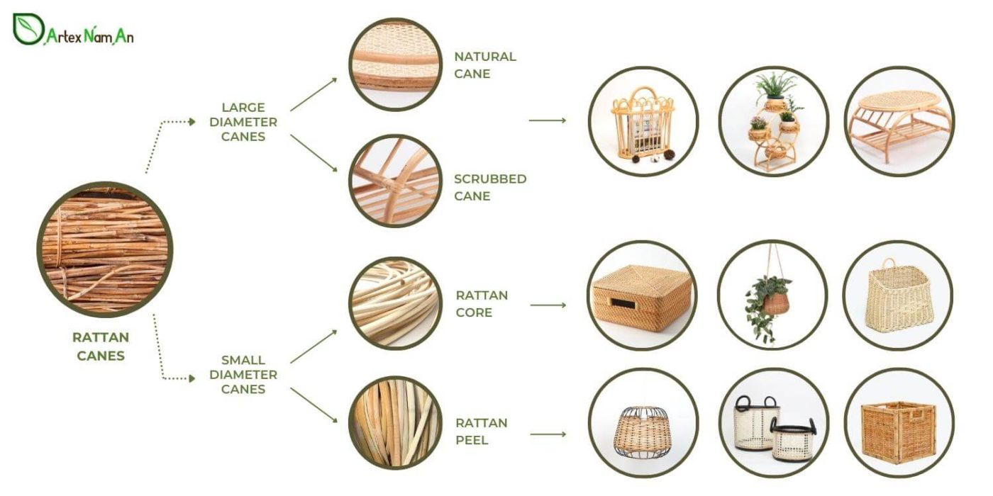 Top Differences Between Cane Vs Bamboo In Home Industry