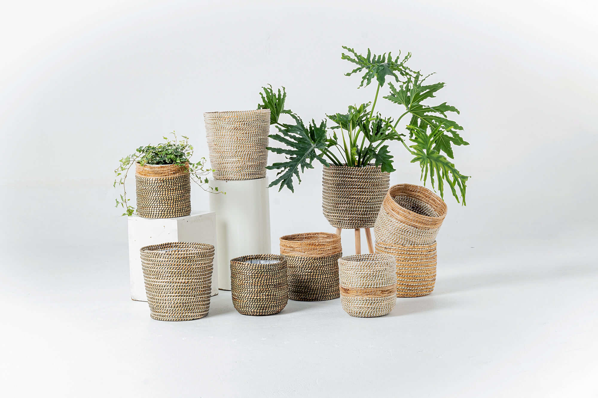Seagrass indoor planter
