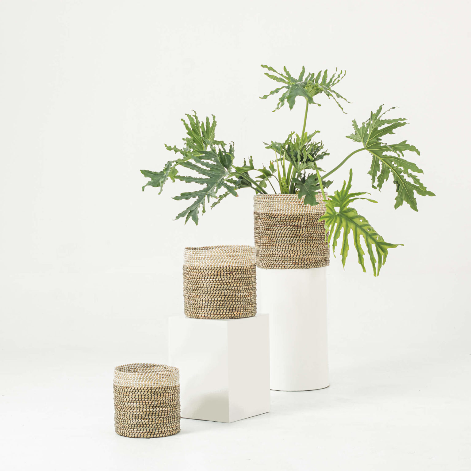Two-tone Natural Woven Seagrass Wholesale Indoor Planters