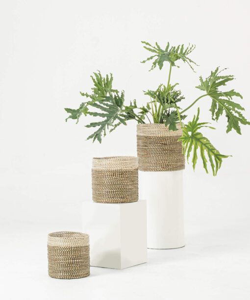 The New Wicker