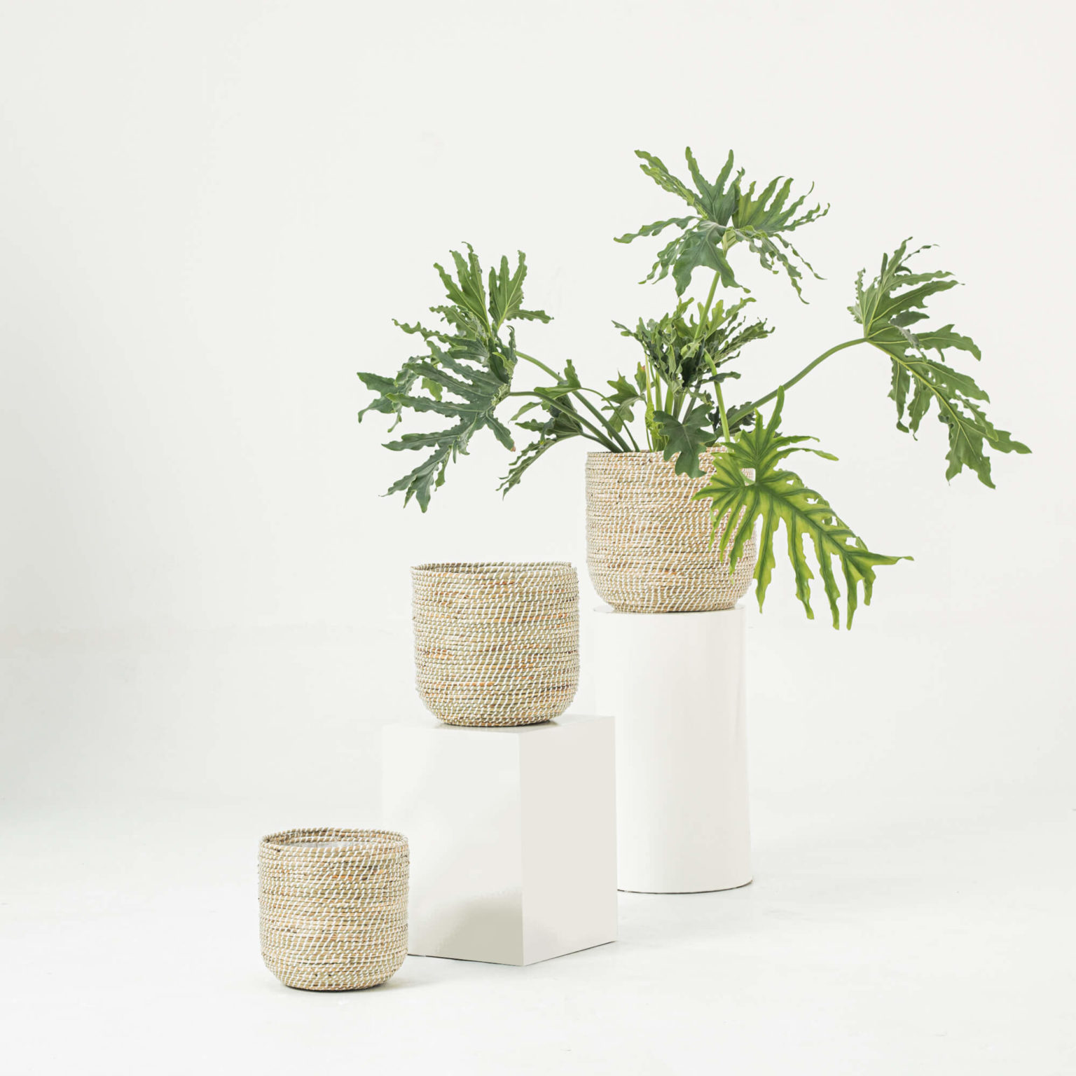White Seagrass Wicker Scandinavian Plant Pots Wholesale
