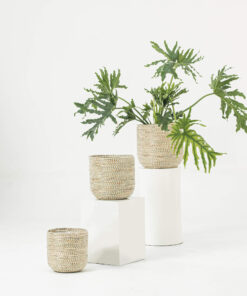 White Seagrass Wicker Scandinavian Plant Pots Wholesale