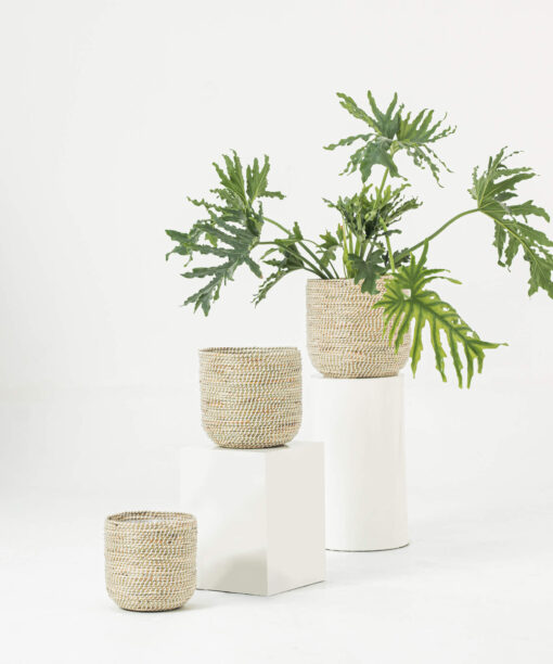 White Seagrass Wicker Scandinavian Plant Pots Wholesale
