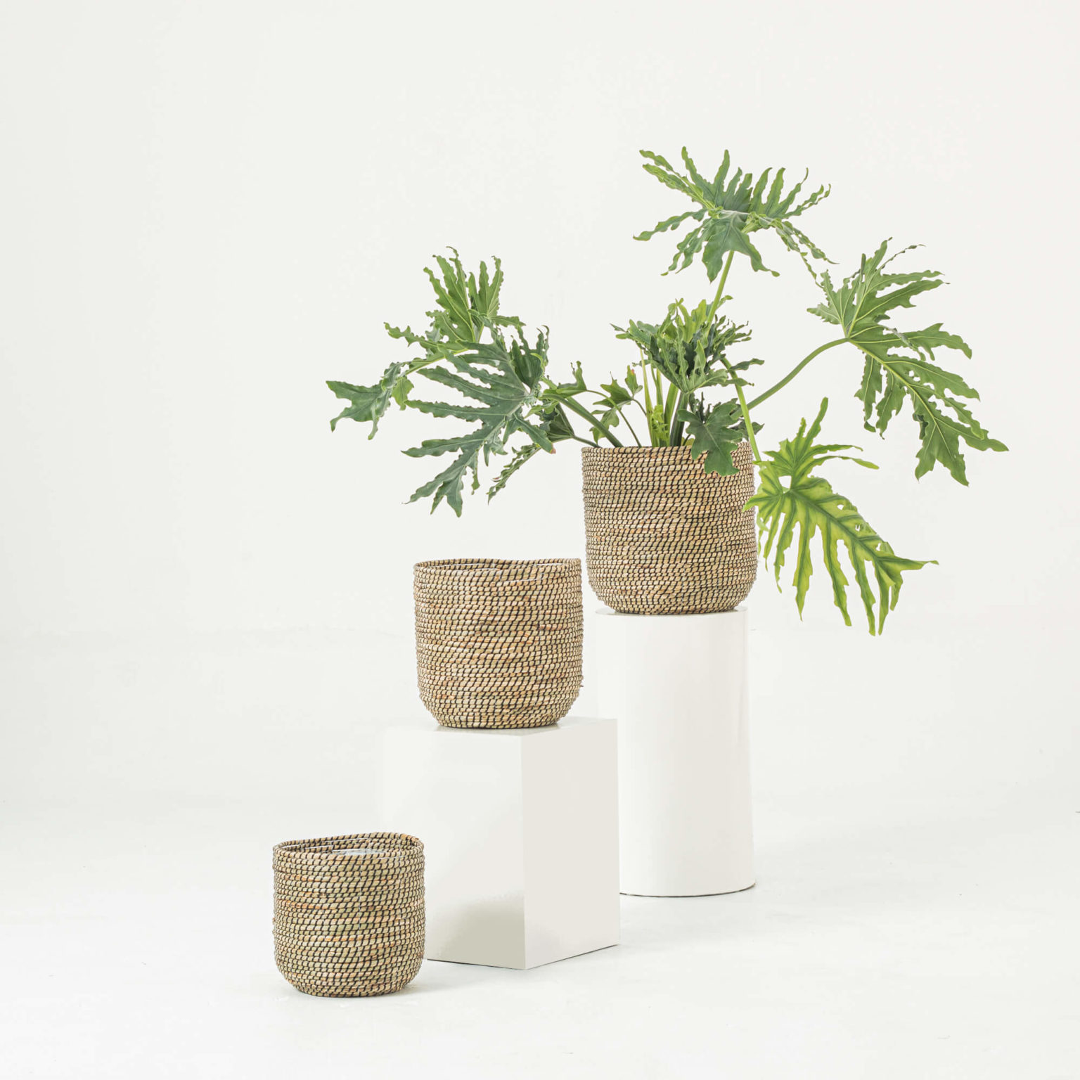 Natural Seagrass Banana Wicker Planters Indoor Wholesale