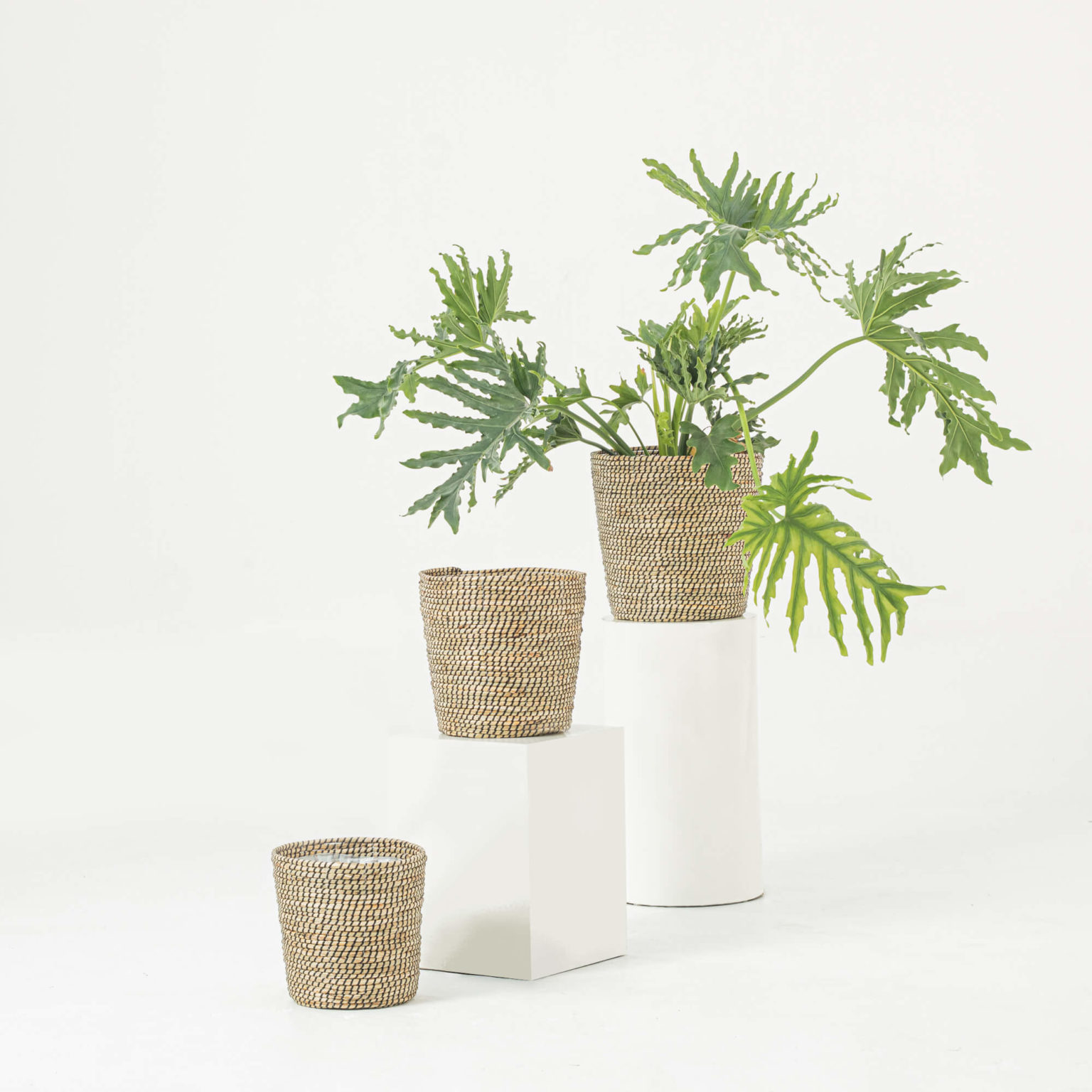 Seagrass Taper Scandinavian Plant Pots Wholesale