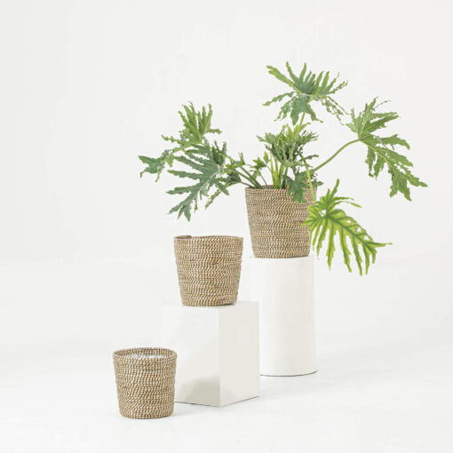 Seagrass Taper Scandinavian Plant Pots Wholesale