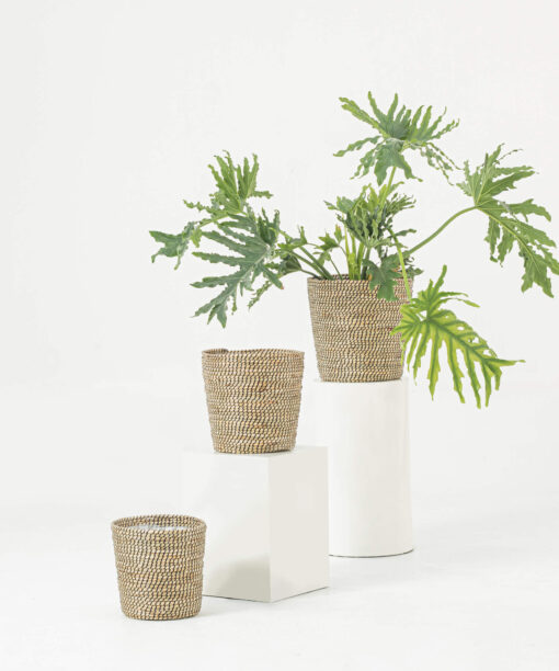 Seagrass Taper Scandinavian Plant Pots Wholesale